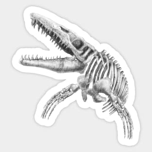 mosasaurus skeleton Sticker